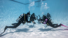 Load image into Gallery viewer, PADI ReActivate Scuba Refresher Program - Phoenix Divers SA 
