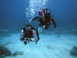 PADI Advanced Open Water Diver - Phoenix Divers SA 